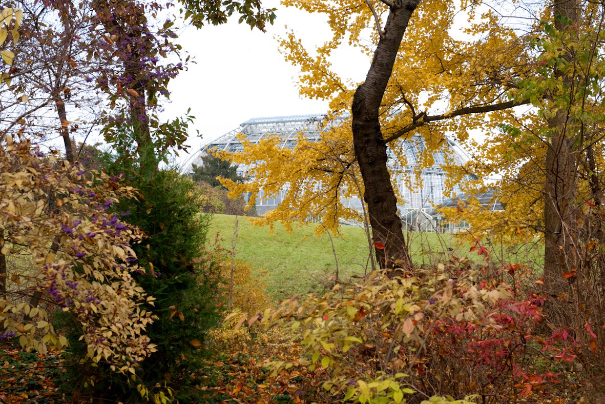 Botanischer Garten in Berlin Dahlem mit Tropenhaus im Hintergrund